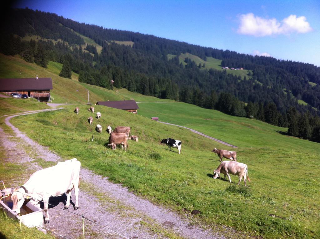 Unser Vorsaess - Klausberg Schwarzenberg im Bregenzerwald Eksteriør bilde